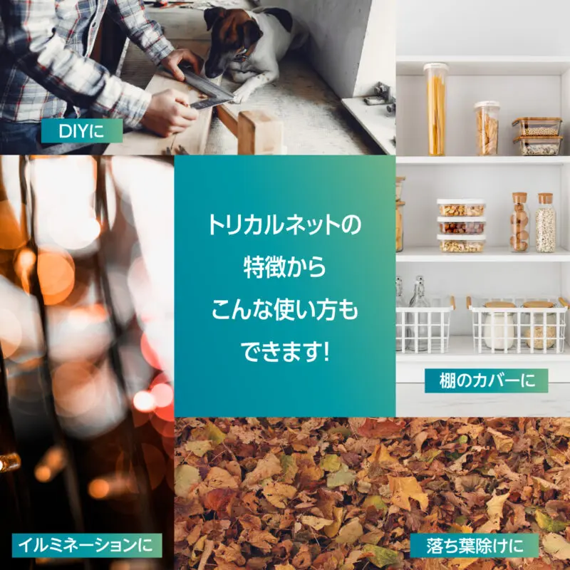 スリムプラネット ガルシニア カテキン 各30日分×3個 スリムプラネット ガルシニア カテキン 各30日分×3個 スリムプラネット