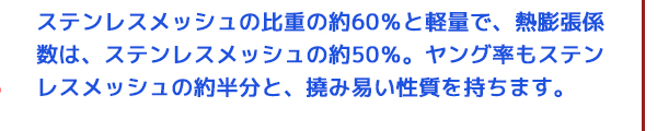 メッシュ メッシュとは