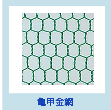 メッシュ メッシュとは